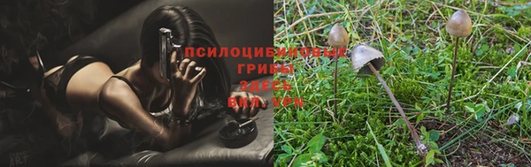 твердый Верхний Тагил